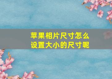 苹果相片尺寸怎么设置大小的尺寸呢