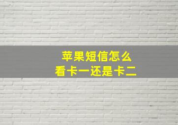 苹果短信怎么看卡一还是卡二