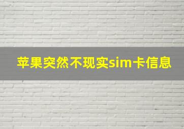 苹果突然不现实sim卡信息