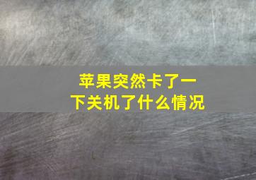 苹果突然卡了一下关机了什么情况