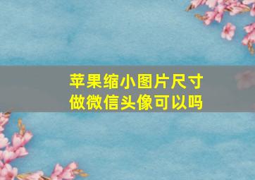 苹果缩小图片尺寸做微信头像可以吗