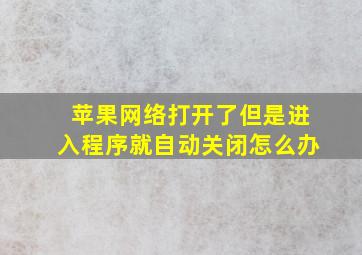 苹果网络打开了但是进入程序就自动关闭怎么办