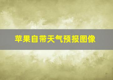 苹果自带天气预报图像