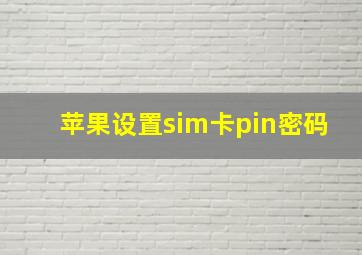 苹果设置sim卡pin密码