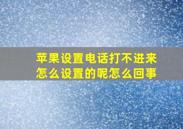 苹果设置电话打不进来怎么设置的呢怎么回事