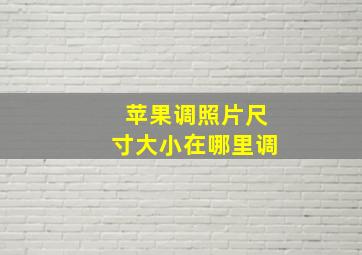 苹果调照片尺寸大小在哪里调