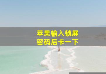 苹果输入锁屏密码后卡一下