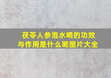 茯苓人参泡水喝的功效与作用是什么呢图片大全