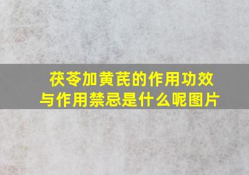 茯苓加黄芪的作用功效与作用禁忌是什么呢图片