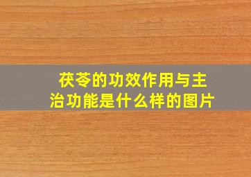 茯苓的功效作用与主治功能是什么样的图片