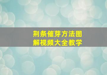 荆条催芽方法图解视频大全教学