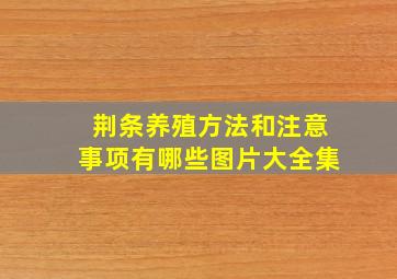 荆条养殖方法和注意事项有哪些图片大全集