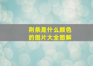 荆条是什么颜色的图片大全图解