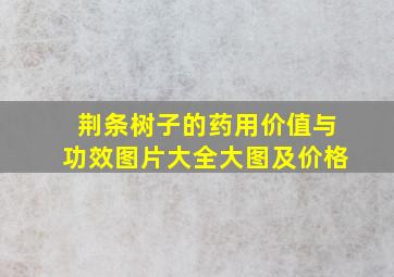 荆条树子的药用价值与功效图片大全大图及价格