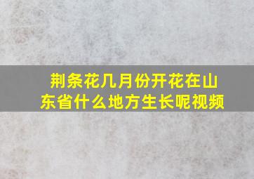 荆条花几月份开花在山东省什么地方生长呢视频