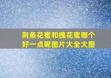 荆条花蜜和槐花蜜哪个好一点呢图片大全大图