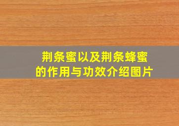 荆条蜜以及荆条蜂蜜的作用与功效介绍图片