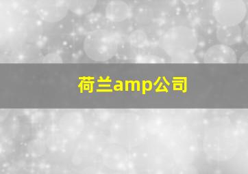 荷兰amp公司