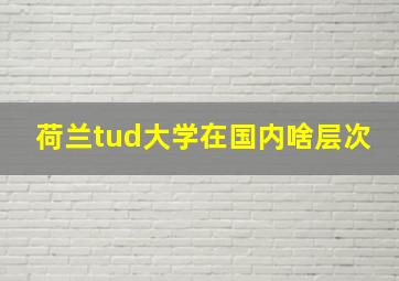 荷兰tud大学在国内啥层次