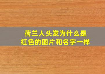 荷兰人头发为什么是红色的图片和名字一样