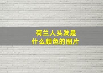 荷兰人头发是什么颜色的图片