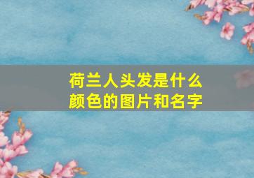 荷兰人头发是什么颜色的图片和名字