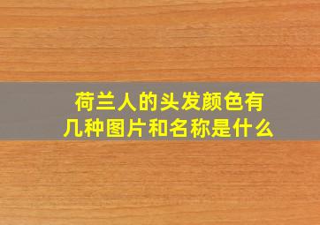 荷兰人的头发颜色有几种图片和名称是什么