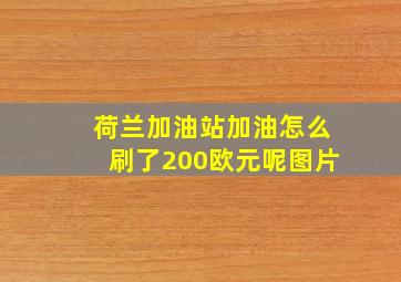 荷兰加油站加油怎么刷了200欧元呢图片