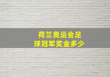 荷兰奥运会足球冠军奖金多少