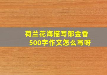 荷兰花海描写郁金香500字作文怎么写呀