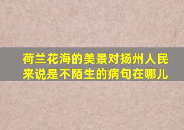 荷兰花海的美景对扬州人民来说是不陌生的病句在哪儿