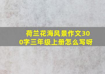 荷兰花海风景作文300字三年级上册怎么写呀