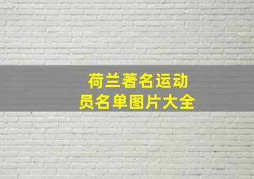 荷兰著名运动员名单图片大全