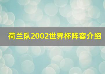 荷兰队2002世界杯阵容介绍