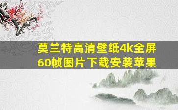 莫兰特高清壁纸4k全屏60帧图片下载安装苹果