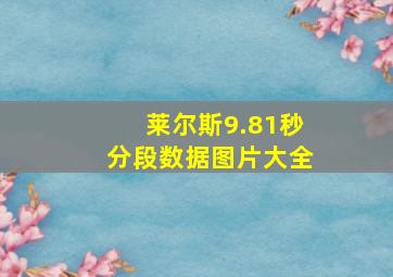 莱尔斯9.81秒分段数据图片大全