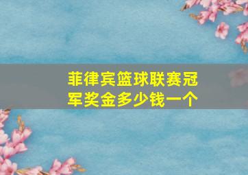 菲律宾篮球联赛冠军奖金多少钱一个