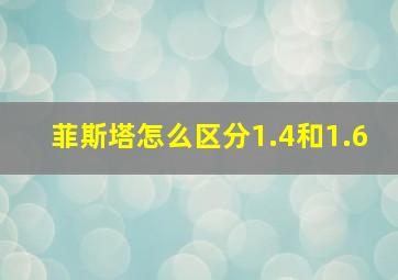 菲斯塔怎么区分1.4和1.6