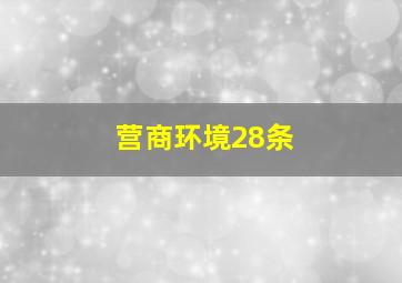 营商环境28条