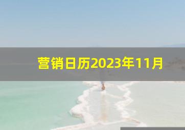 营销日历2023年11月