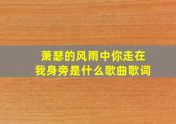 萧瑟的风雨中你走在我身旁是什么歌曲歌词