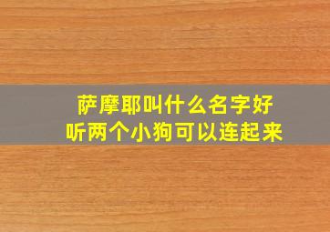 萨摩耶叫什么名字好听两个小狗可以连起来