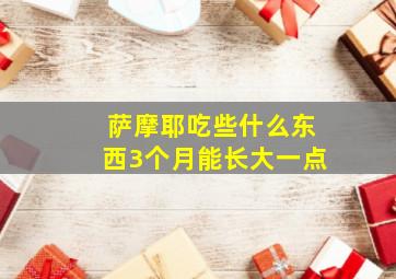 萨摩耶吃些什么东西3个月能长大一点