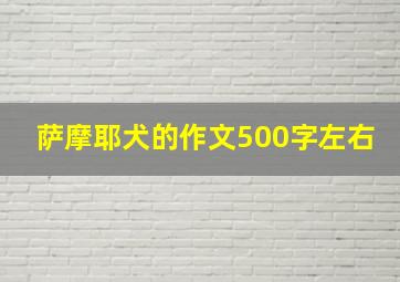 萨摩耶犬的作文500字左右