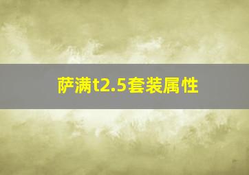 萨满t2.5套装属性