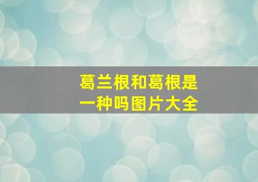 葛兰根和葛根是一种吗图片大全