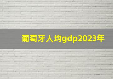 葡萄牙人均gdp2023年