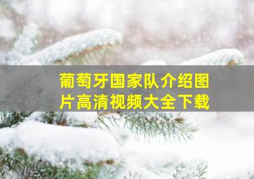 葡萄牙国家队介绍图片高清视频大全下载