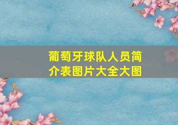 葡萄牙球队人员简介表图片大全大图