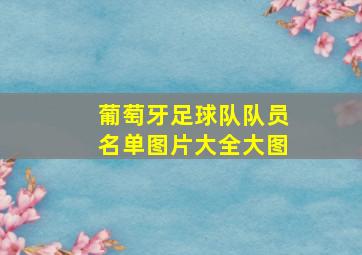 葡萄牙足球队队员名单图片大全大图